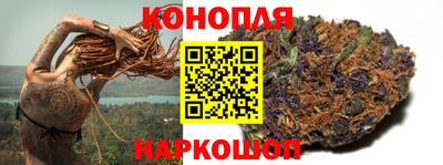 амф Гатчина