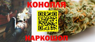 амф Гатчина