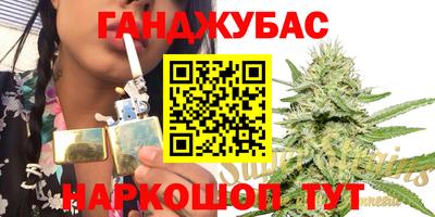 амф Гатчина