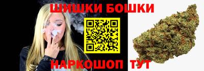 амф Гатчина