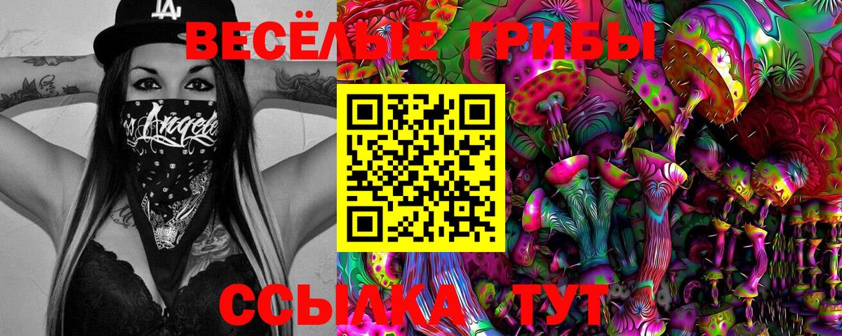 Галлюциногенные грибы MAGIC MUSHROOMS  Галлюциногенные грибы мухоморы  Вход с VPN  Новозыбков 